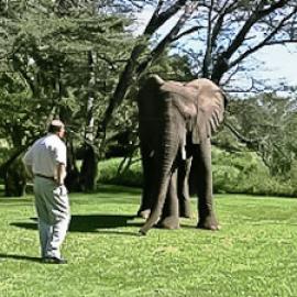 Q&A with Lawrence Anthony, author of The Elephant Whisperer